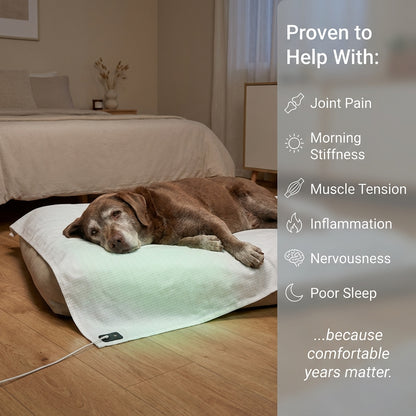 LIMUGA Grounding Sheet for Joint Comfort & Easier Movement